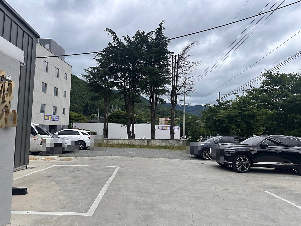 류화 사진 2