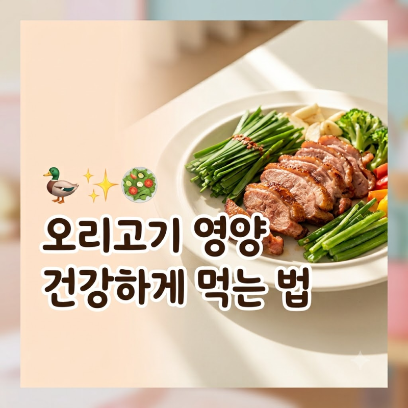 오리 효능, 영양 성분과 건강하게 먹는 법 정리
