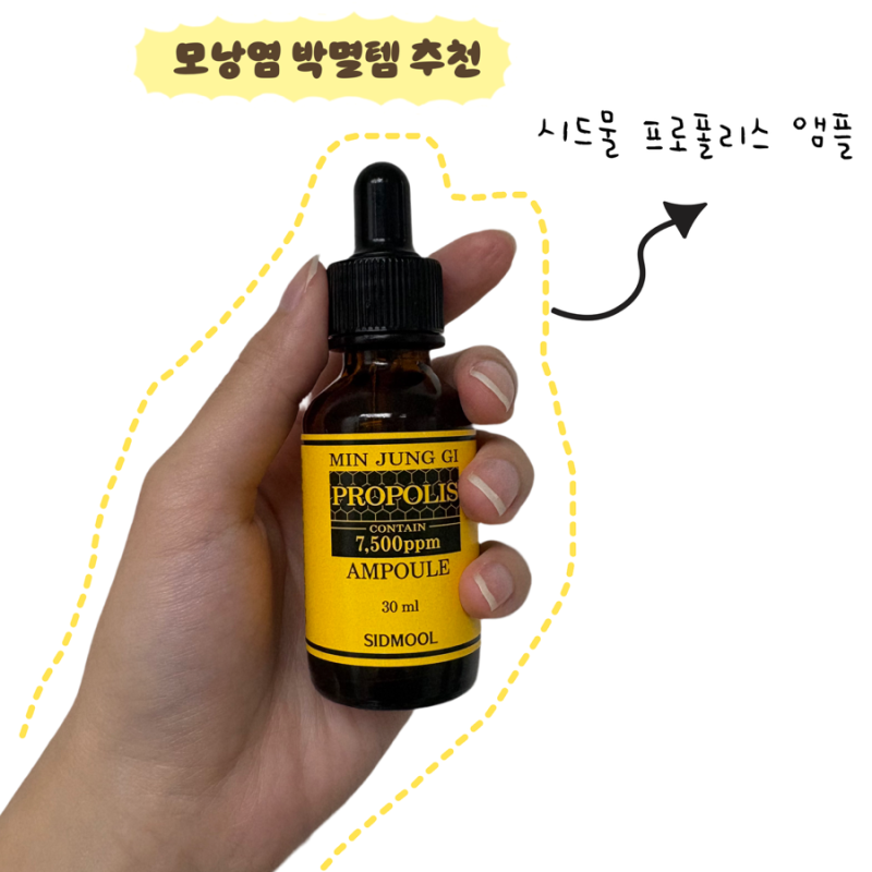 내돈내산 모낭염 박멸템, 시드물 프로폴리스 앰플 솔직 후기