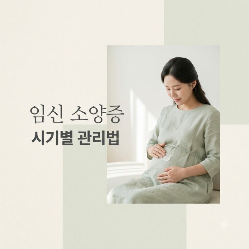 임신 소양증 시기별 원인과 출산 후까지 완벽 관리법