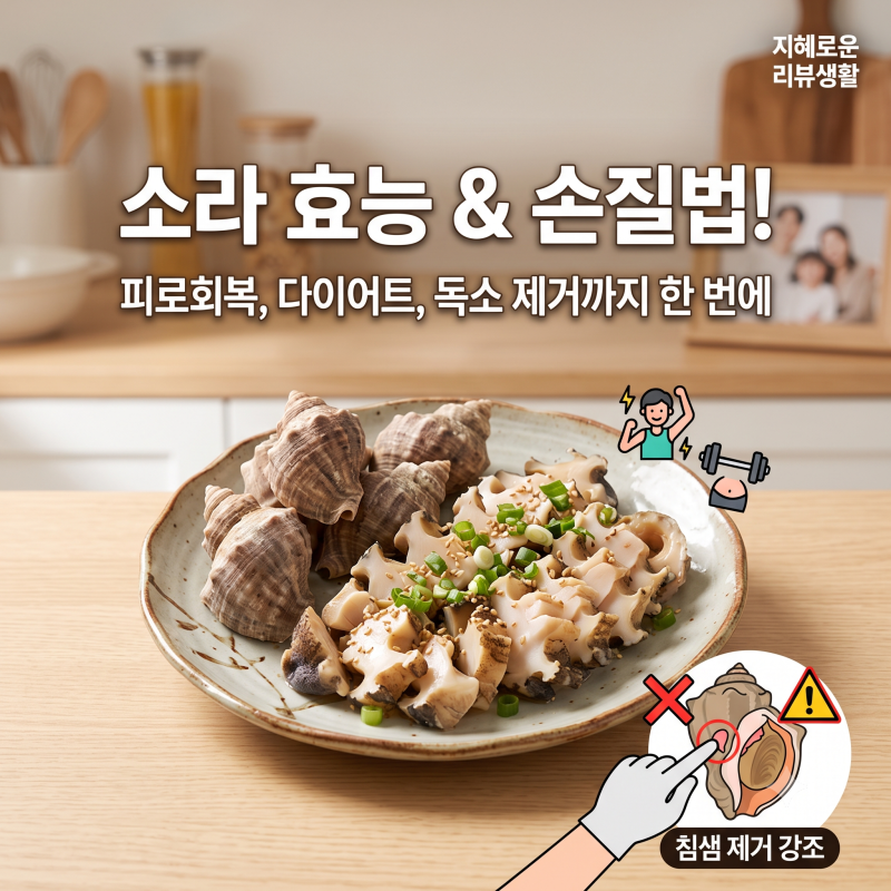 소라 부작용, 먹는법부터 소라 효능까지 한 번에 정리