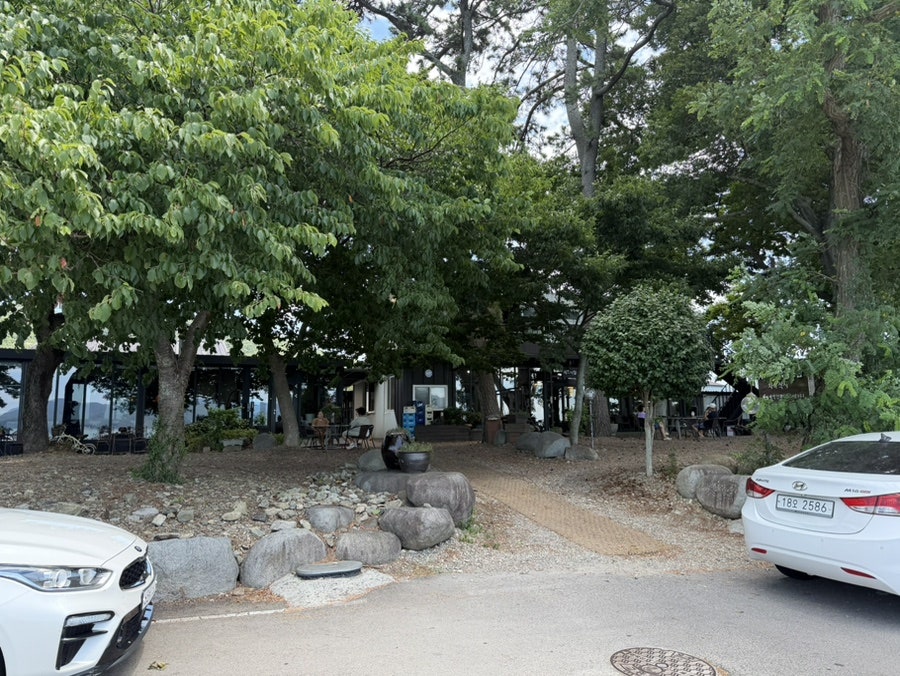 시드니월남쌈 사진 2
