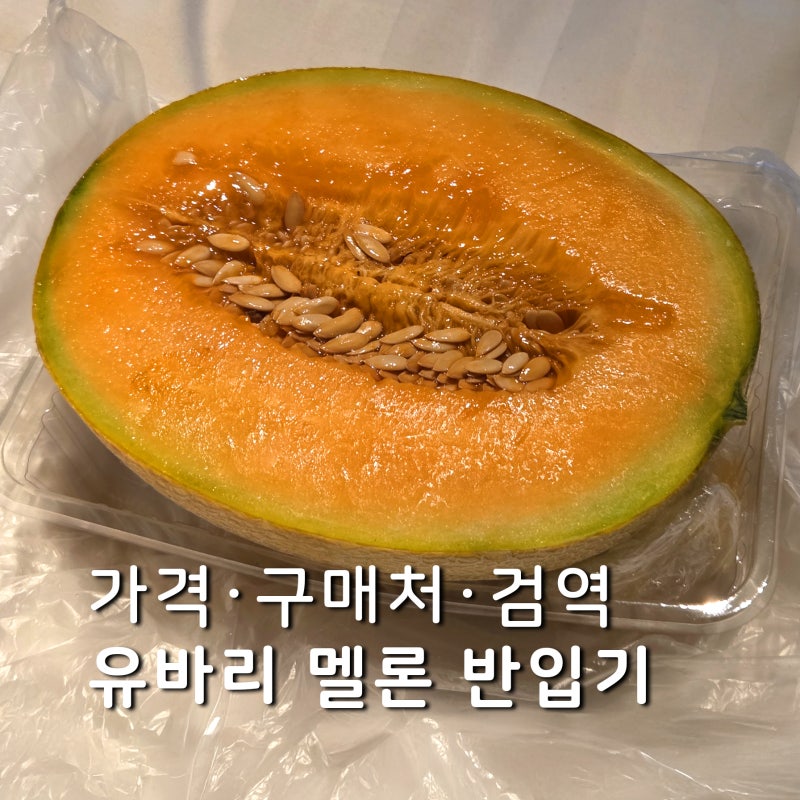 삿포로 유바리 멜론 반입 어떻게 하지? 가격·구매처·검역 방법까지