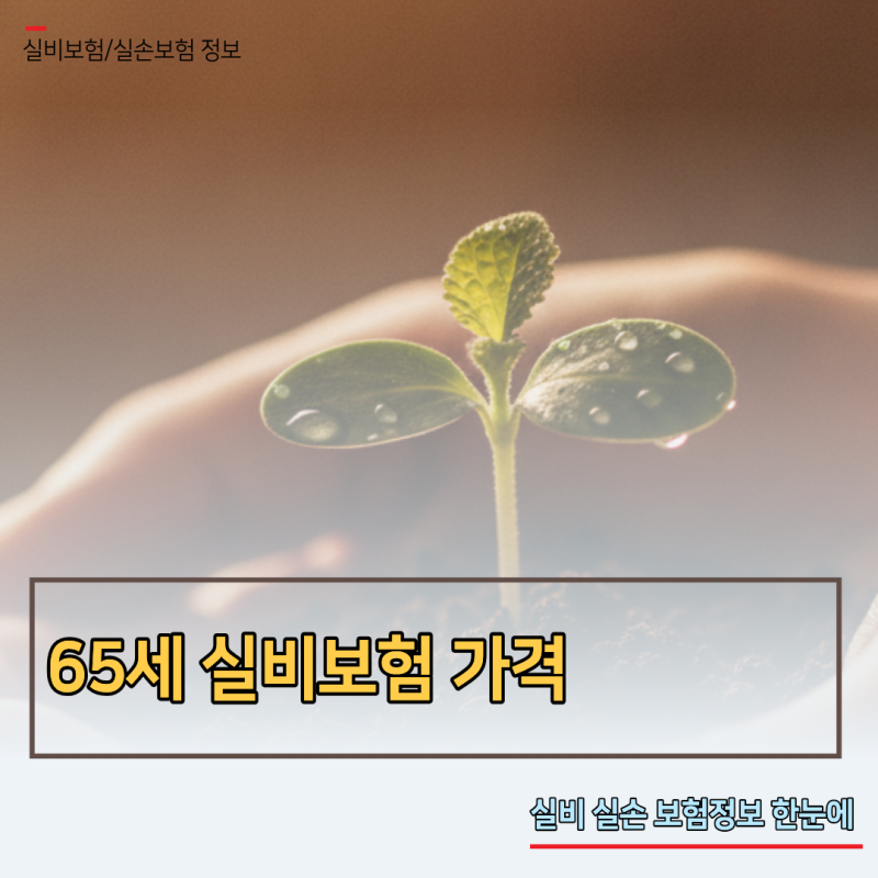 65세 실비보험 가격 폭탄 피하고 노후 부담 줄이는 3가지 가입 전략