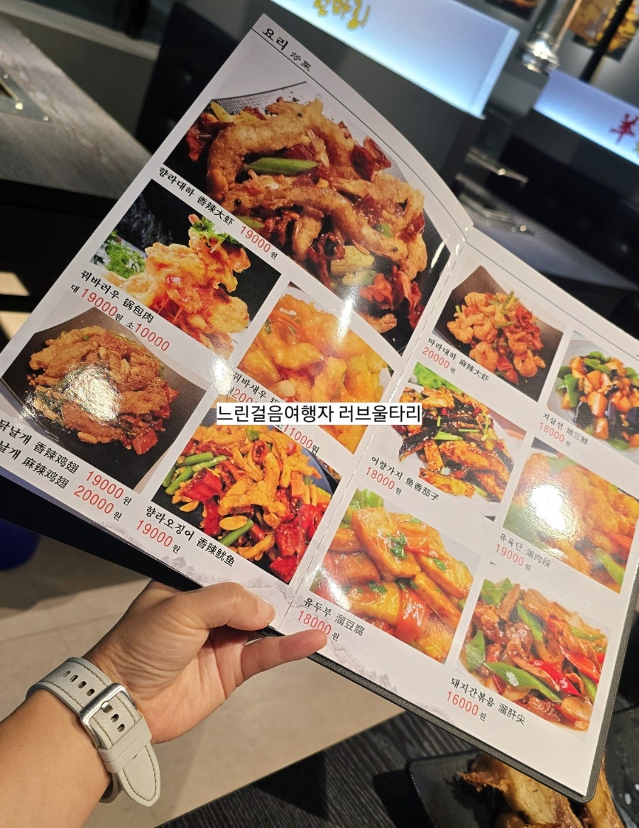 양한마리 사진 5