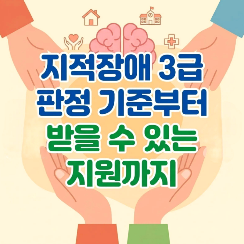 지적장애 3급 판정 기준부터 받을 수 있는 지원까지