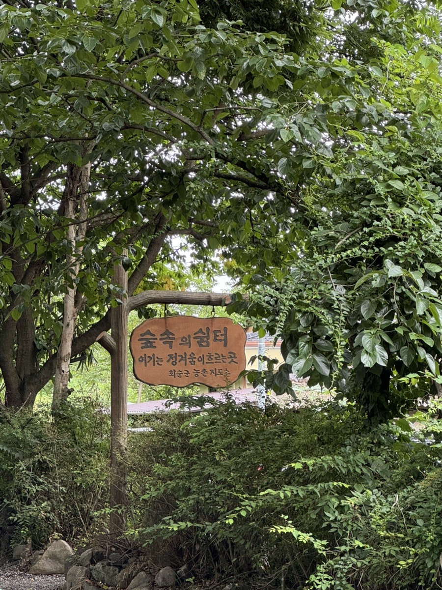 숲속유원지 사진 1