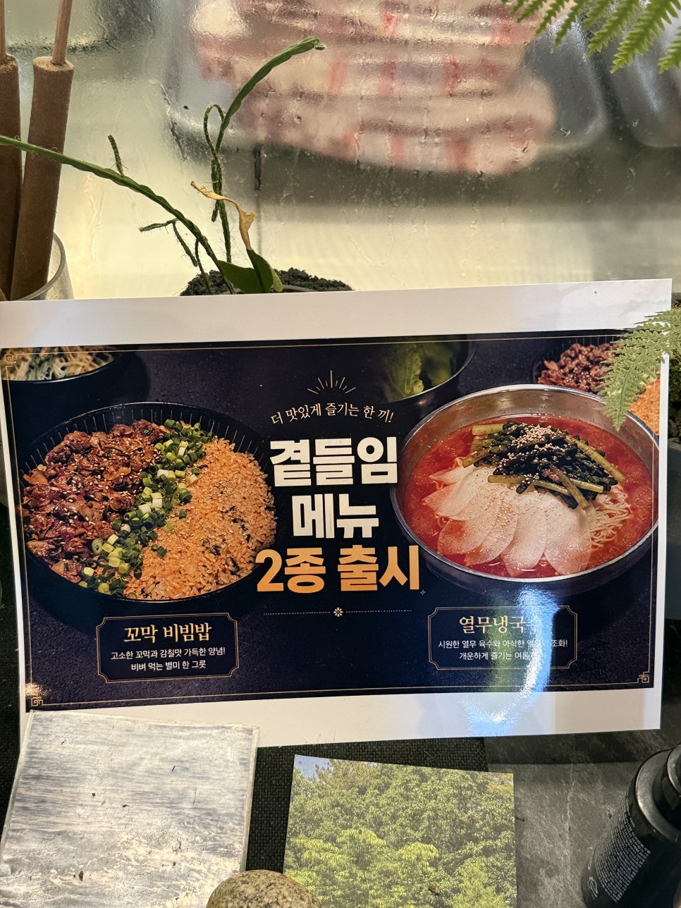 정돈 사진 5
