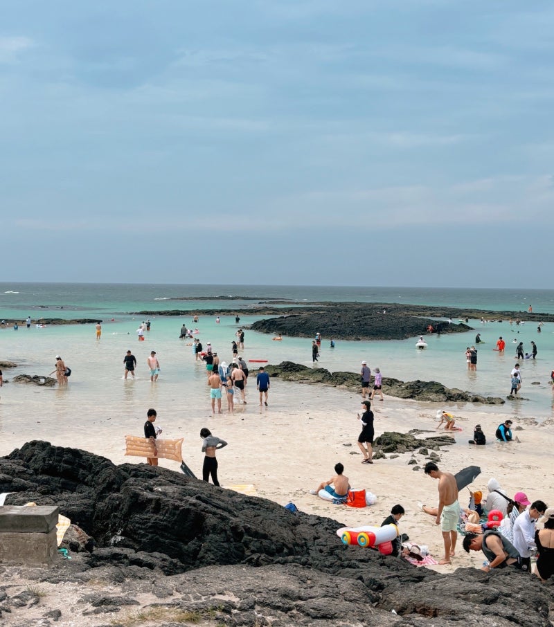 제주도 돌고래 스팟 공유 동쪽 서쪽 볼 수 있는 곳