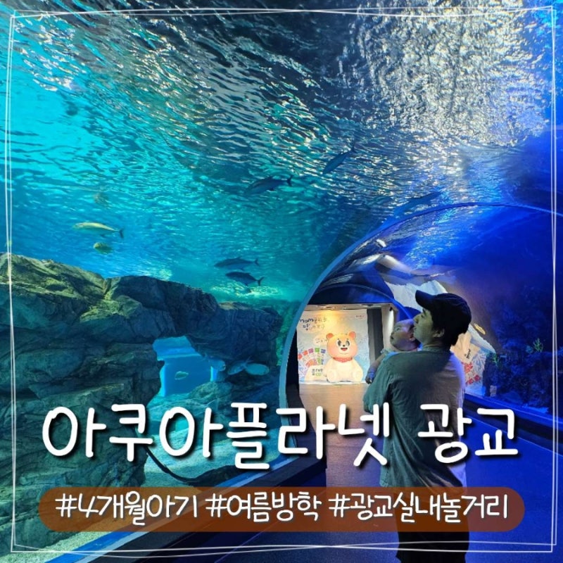 수원 아쿠아리움 4개월 아기랑 간 아쿠아플라넷 광교 수유실 주차 공연시간