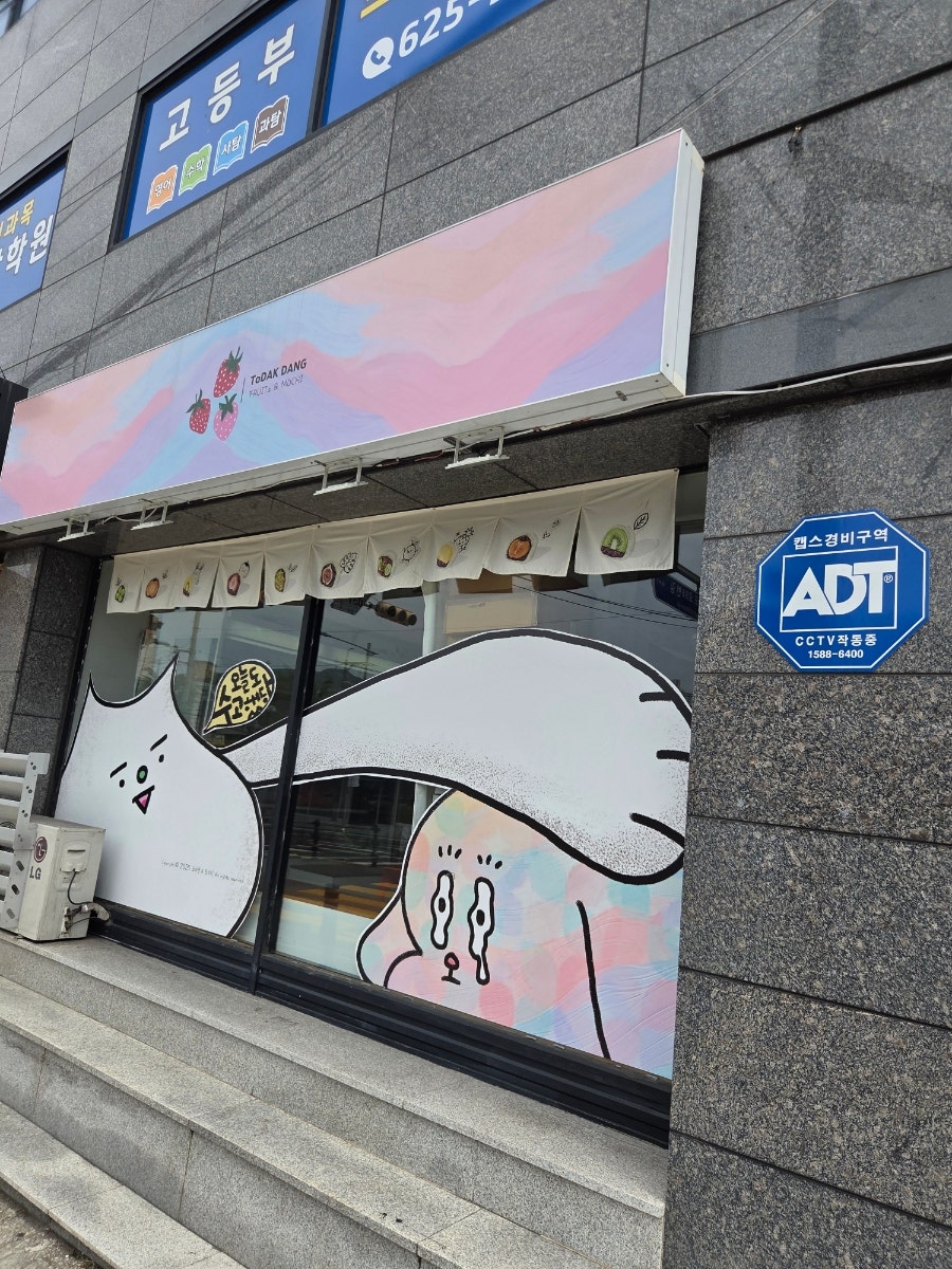 토닥당 사진 4