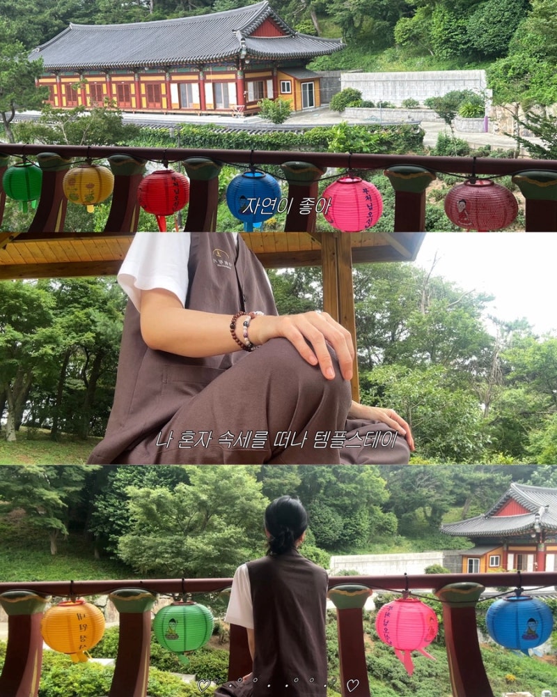 부산 내원정사 | 나 혼자 속세를 떠나 한여름 템플스테이