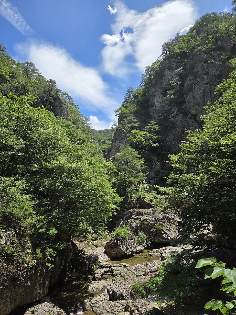 달기약수촌 사진 2