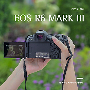 여행준비물로 캐논 풀프레임 미러리스 좋을까? EOS R6 MARK3 후기