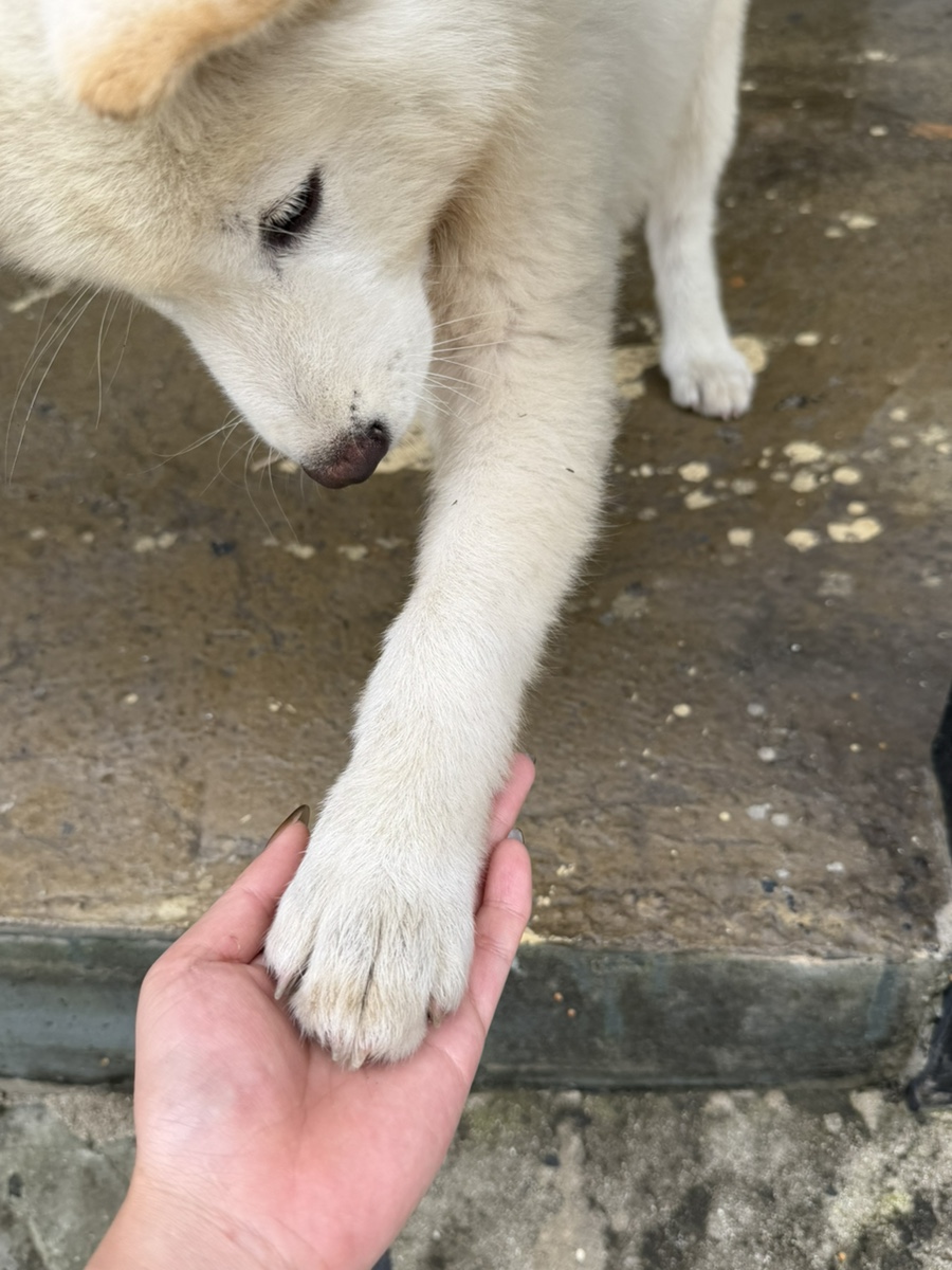 꼭대기집 사진 3