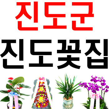 진도꽃집 사진 4