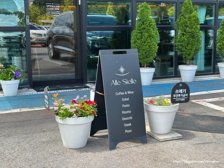 알레스텔레 사진 4