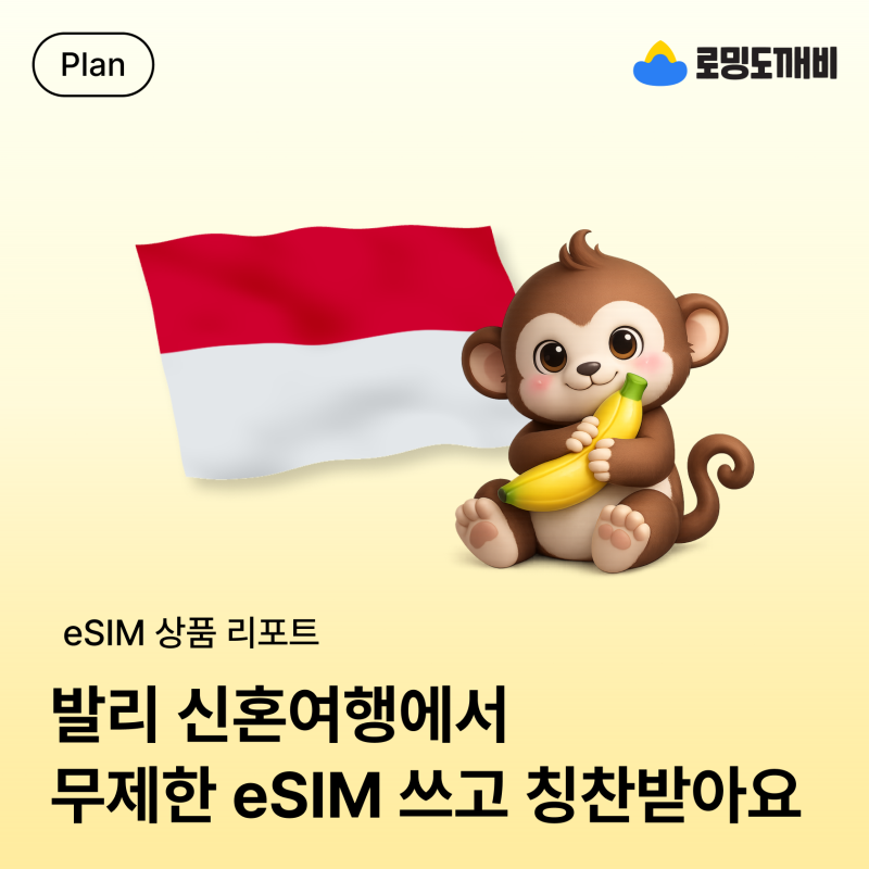인도네시아 이심 뭐 써야 할까? 발리 우붓 스미냑 쿠타 다 되는 초고속 무제한 데이터