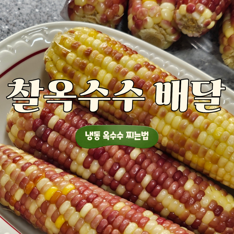 냉동 찰옥수수 배송 후기 찐옥수수 간식 추천｜냉동이라 더 간편했던 홍찰옥수수