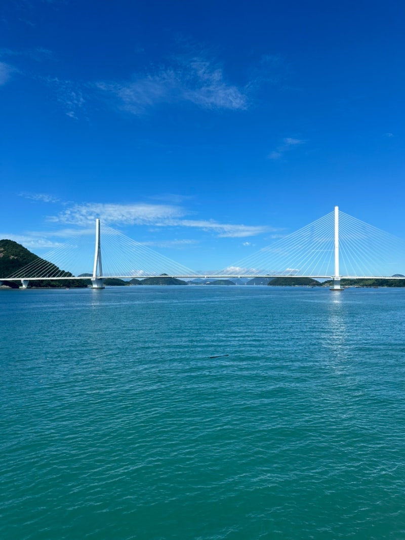 麗水金鰲島旅客船完全整理 | 夏季時刻表、料金、車両積載方法