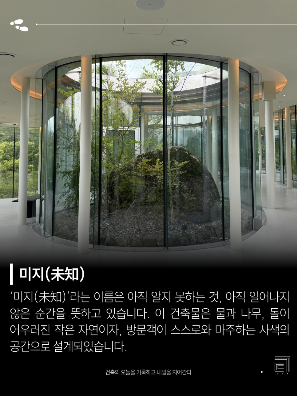 미지의 사진 4