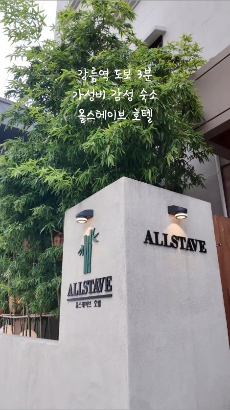 강릉 올스테이브 호텔 사진 3