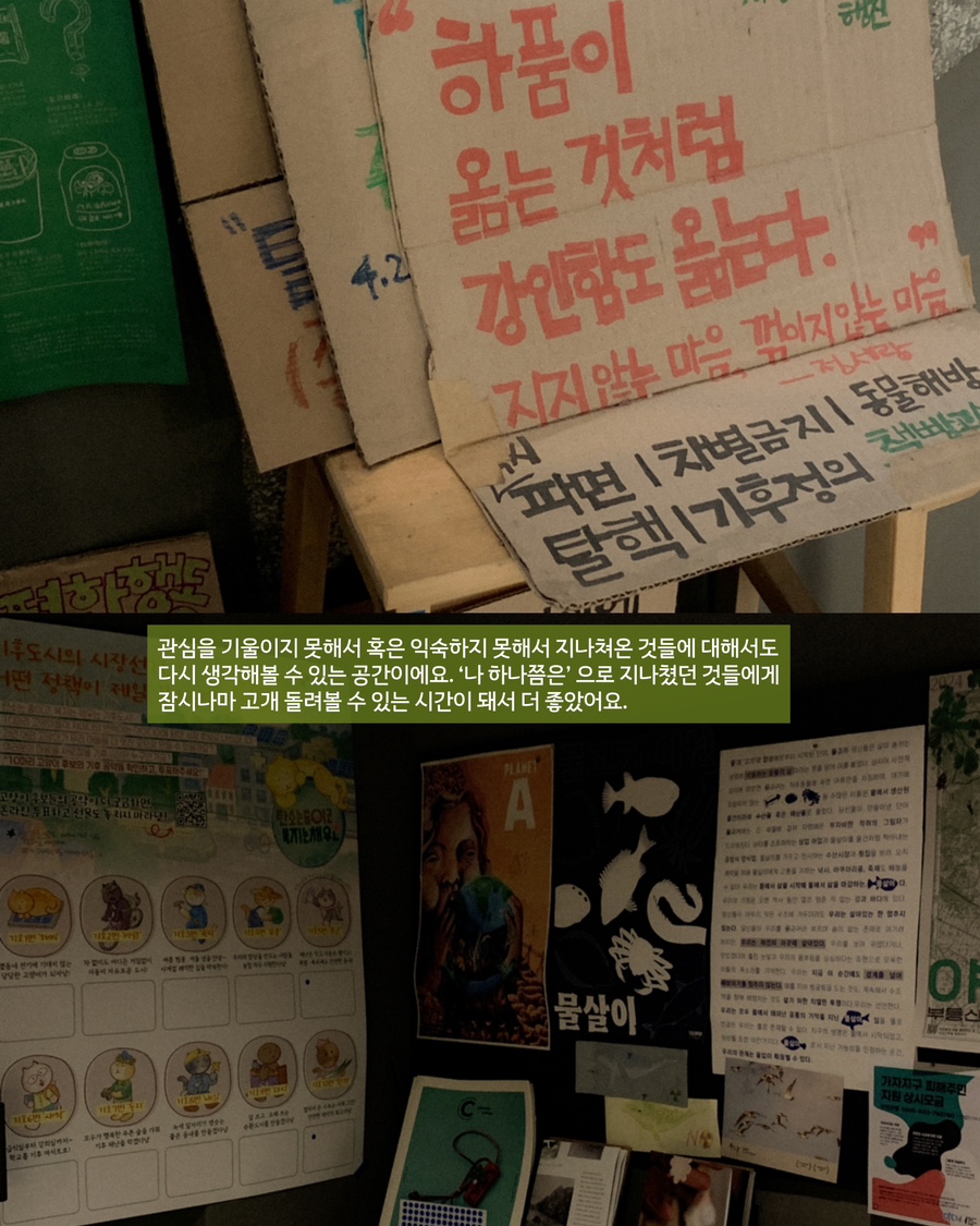 책빵고스란히 사진 5