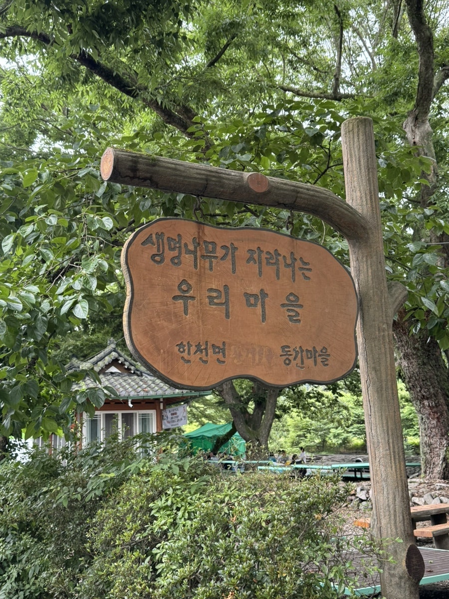 숲속유원지 사진 2