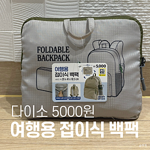 다이소 여행용 접이식 백팩｜휴가철 여분 가방 추천 5000원 후기