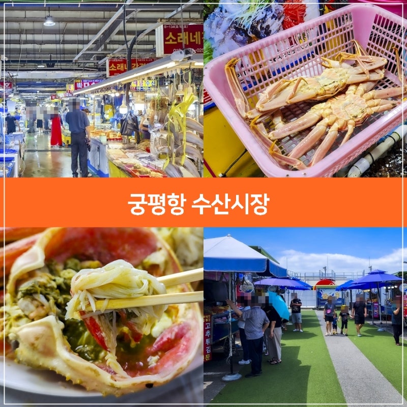서울근교 나들이, 화성 궁평항 수산시장, 경기도 여름 가볼만한곳