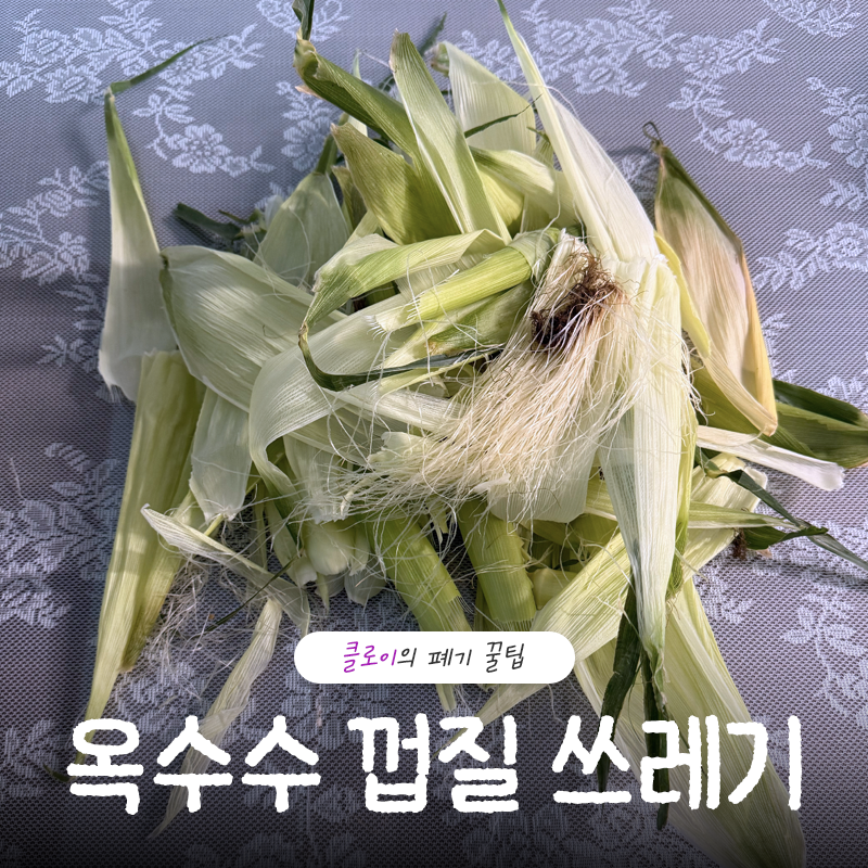 옥수수 껍질 쓰레기 분류 일반일까 음식물일까? 3초 판별법
