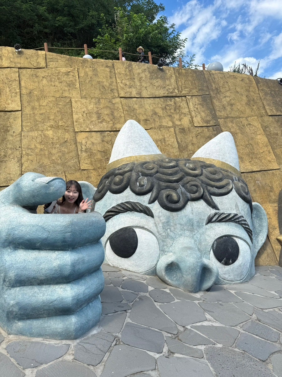 회귀빈 사진 5