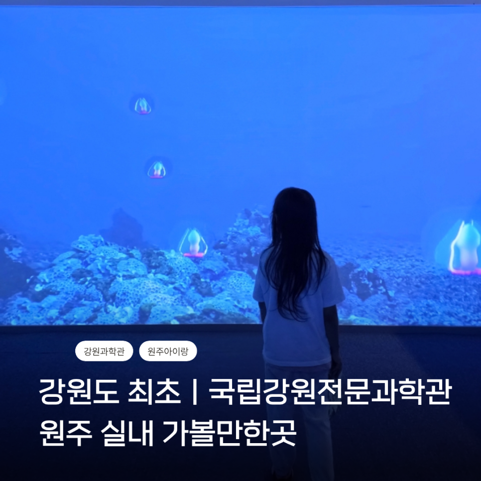국립강원전문과학관 사진 1