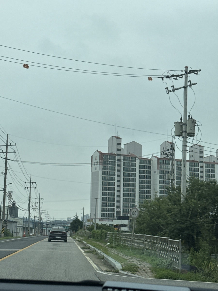 도토리 사진 5
