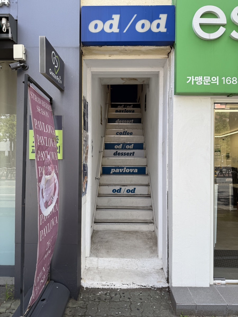 오디오디 사진 1