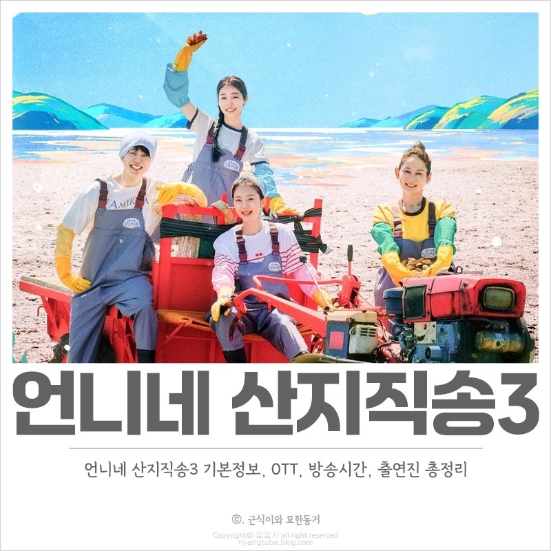 tvN 언니네 산지직송3 기본정보, OTT, 방송시간 새로운 사 남매 예능 등장