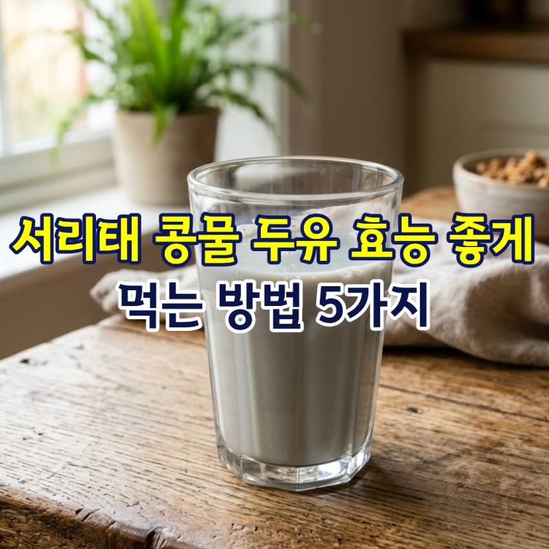 서리태 콩물 두유 효능 좋게 먹는 방법 5가지