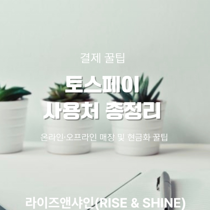 토스페이 사용처 총정리 (온라인·오프라인 매장 및 현금화 꿀팁)
