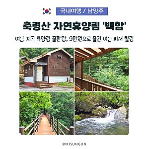 축령산 자연휴양림 예약부터 백합 후기, 여름 계곡 휴양림으로 추천하는 이유