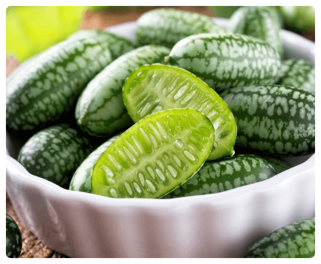 쿠카멜론 키우기부터 맛·먹는 법까지, 미니 수박을 닮은 열매의 정체
