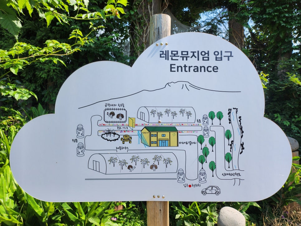 레몬뮤지엄 사진 1