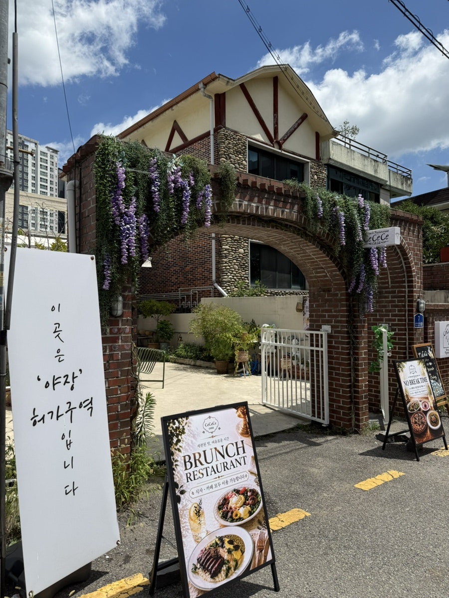 쎄쎄쎄 사진 2
