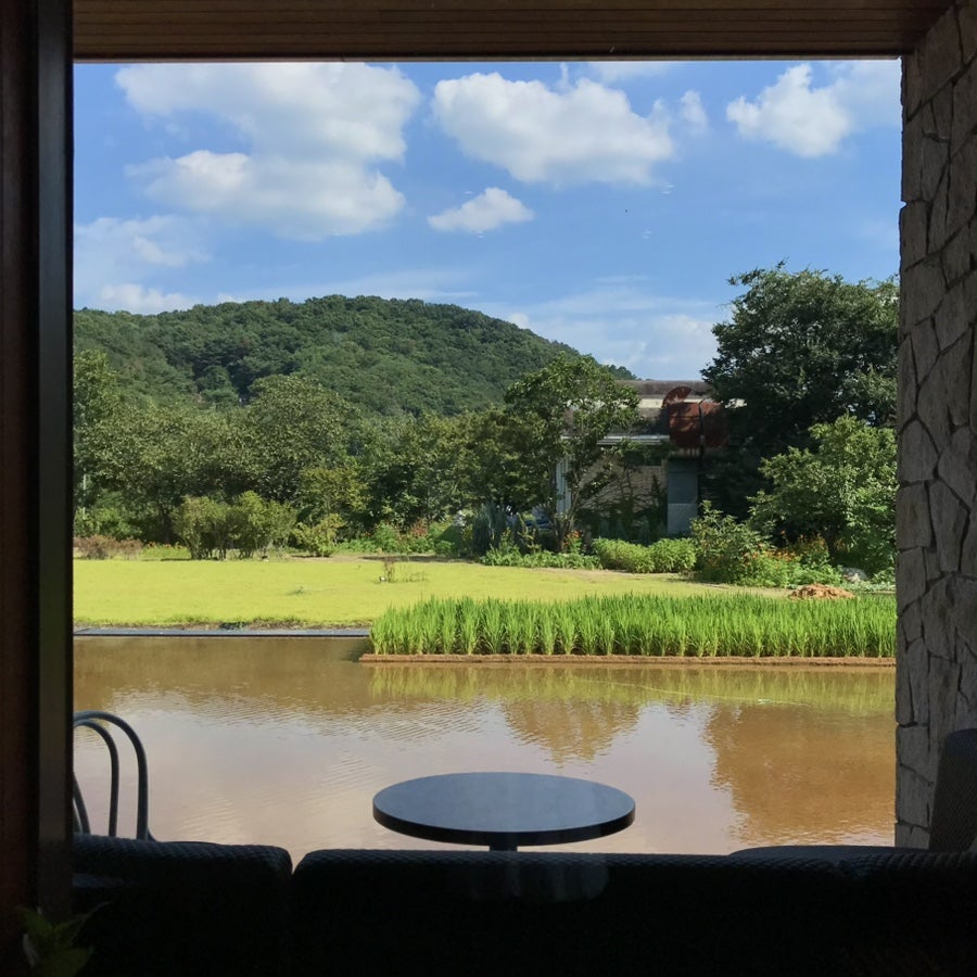 엘파소 사진 1