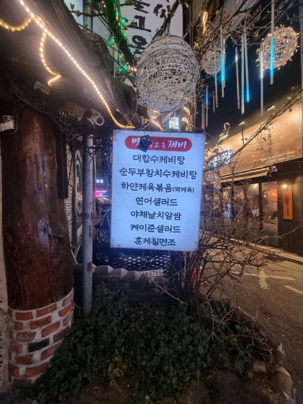 박씨물고온제비 사진 3