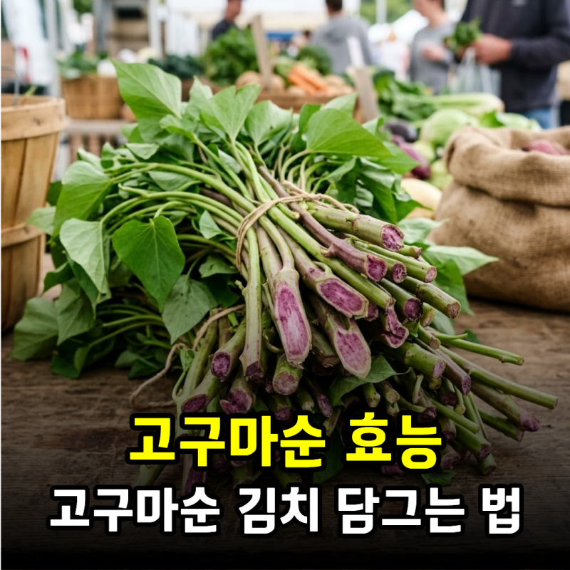 고구마순 효능, 제철에 꼭 먹어야 하는 이유와 고구마순 김치 만드는 방법