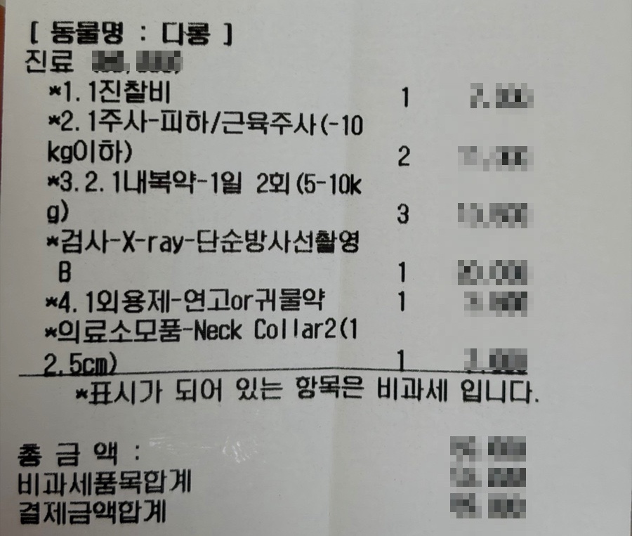 스타동물병원 사진 3