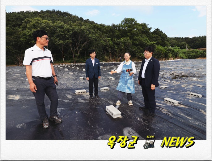 어울림 사진 3