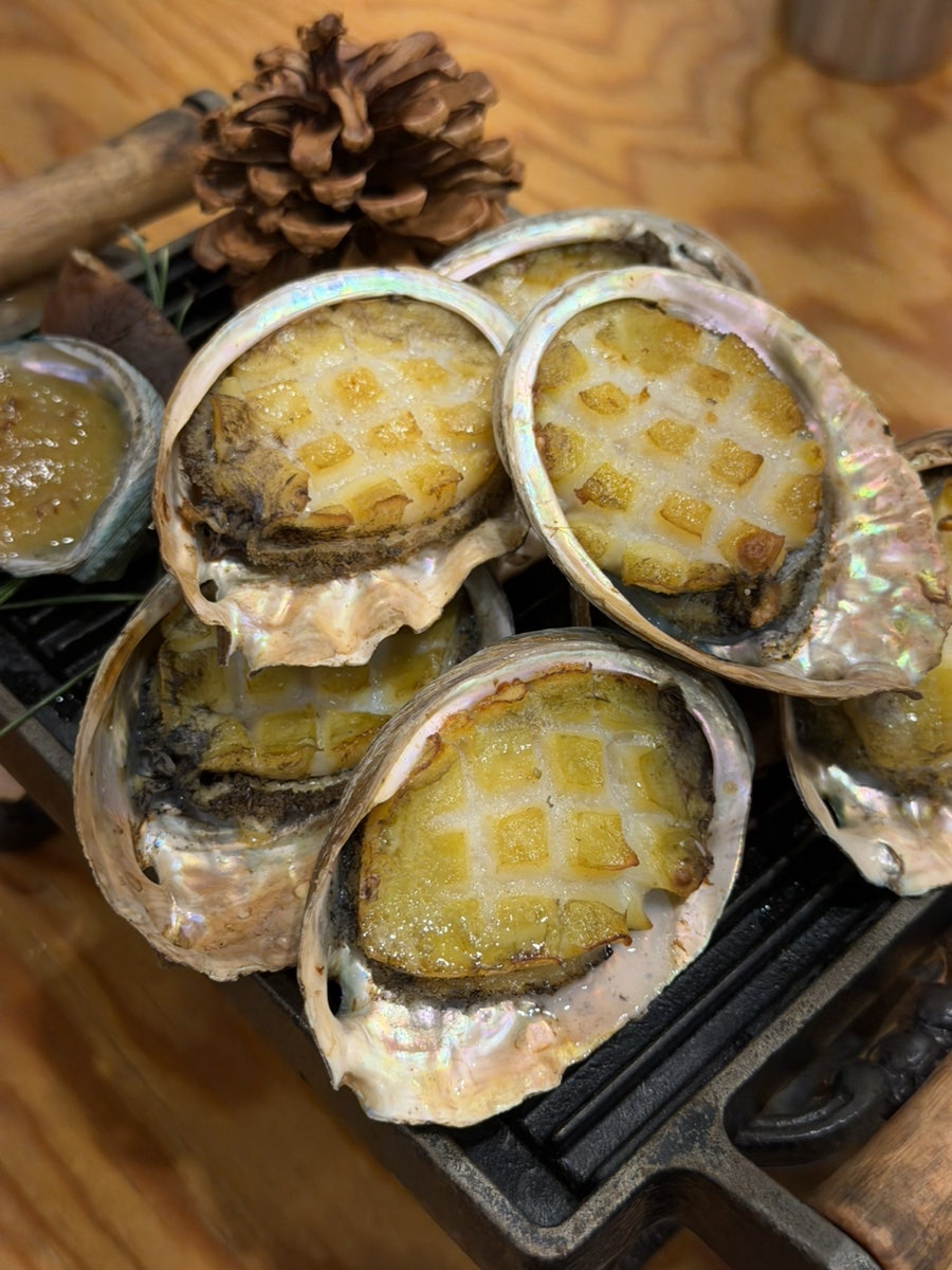 탐복 사진 2