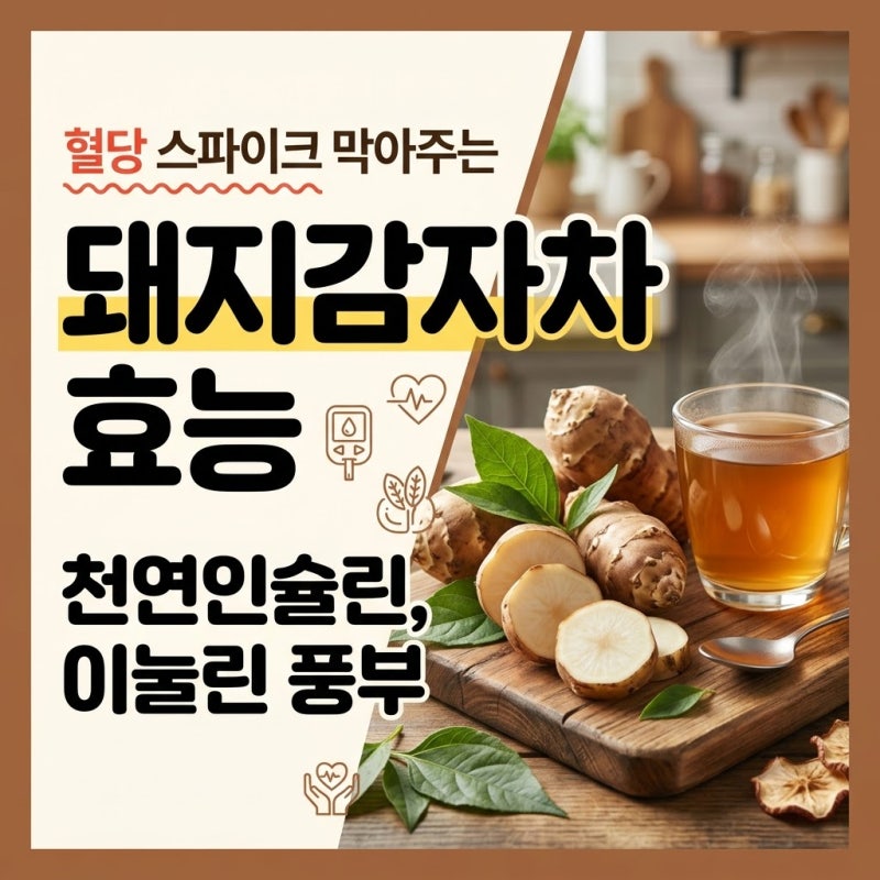 돼지감자차 효능 혈당관리 하는 분 주목! 돼지감자 핵심성분 알고 있나요?