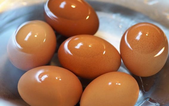 여름철 삶은 계란 보관과 식중독